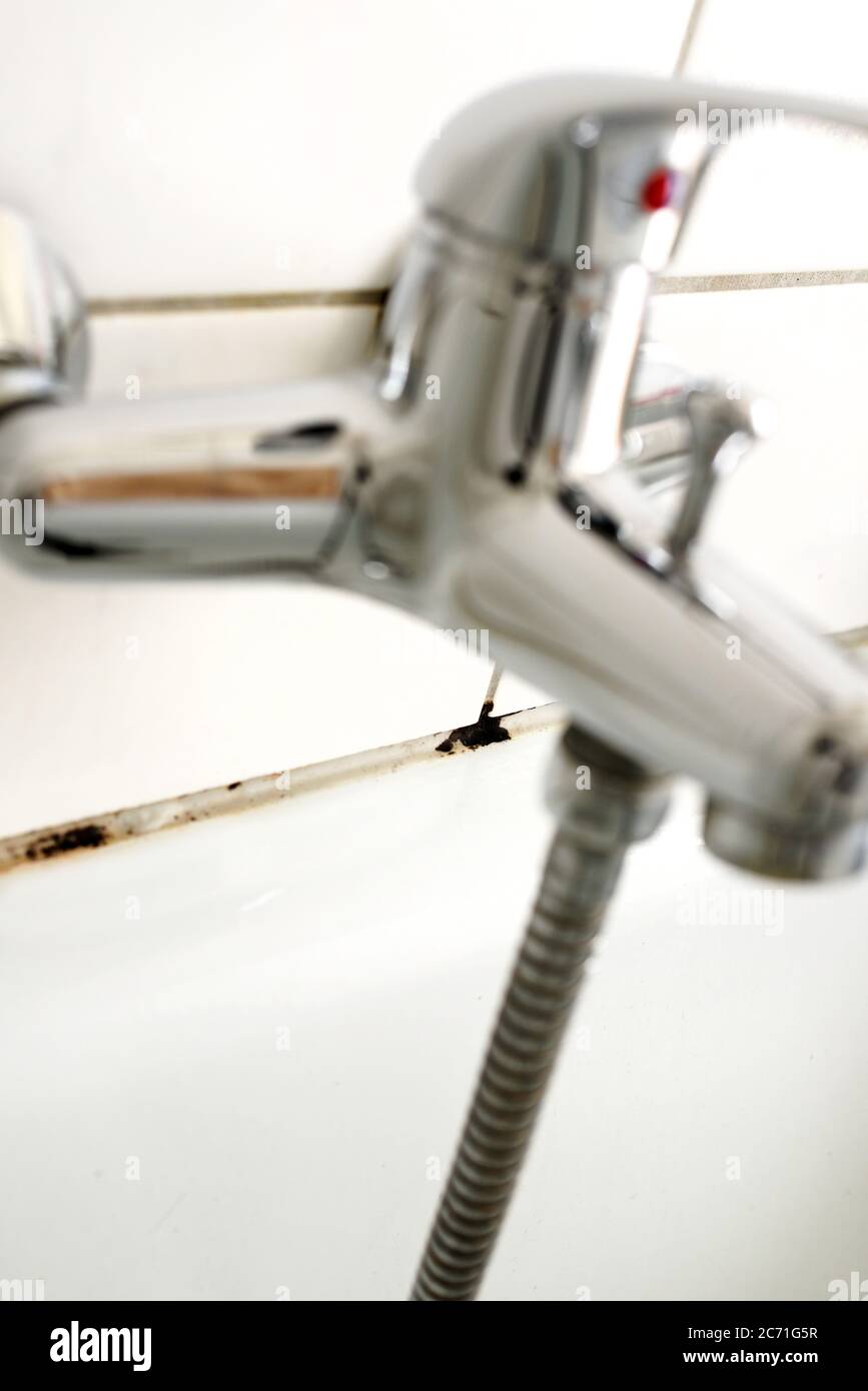 Mould in a bathroom Stock Photo