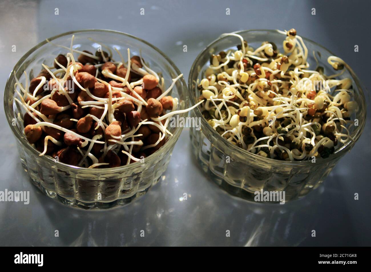 Fresh Sprouted green gram isolated with white background. Germinating Chick pea and green gram in a bowl. Stock Photo