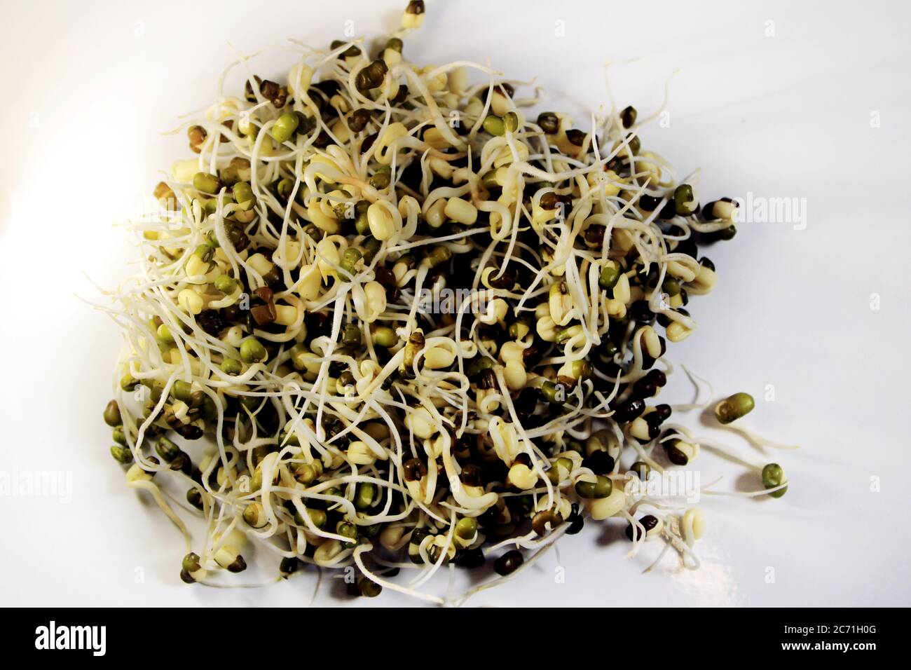 Fresh Sprouted green gram isolated with white background. Fresh, healthy sprouted mung dal or moong beans. Stock Photo