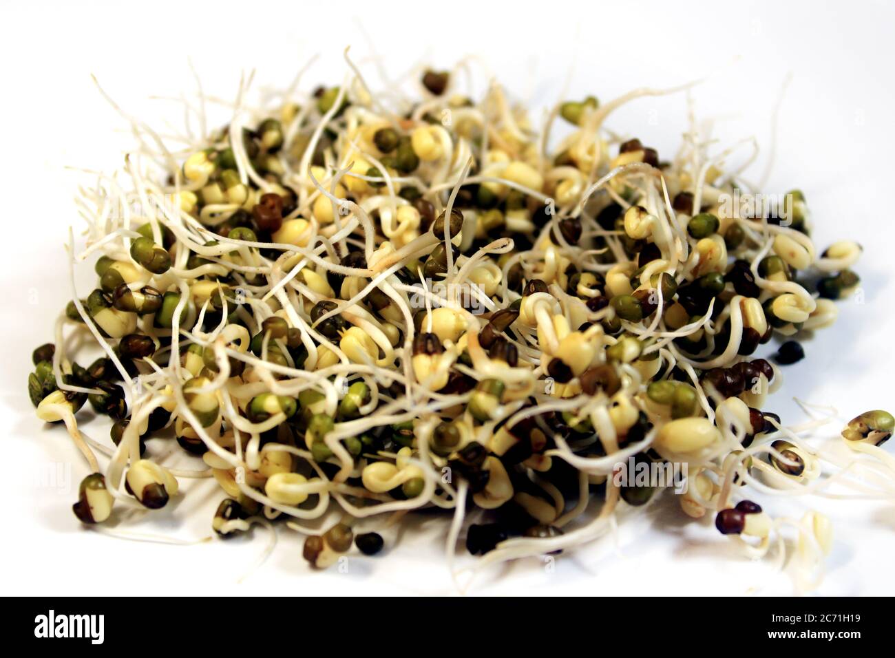 Fresh Sprouted green gram isolated with white background. Fresh, healthy sprouted mung dal or moong beans. Stock Photo