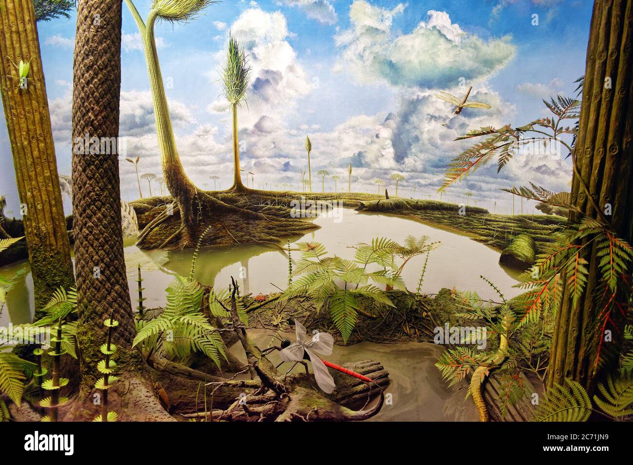 Life in the Carboniferous swamps 300 million years ago Stock Photo