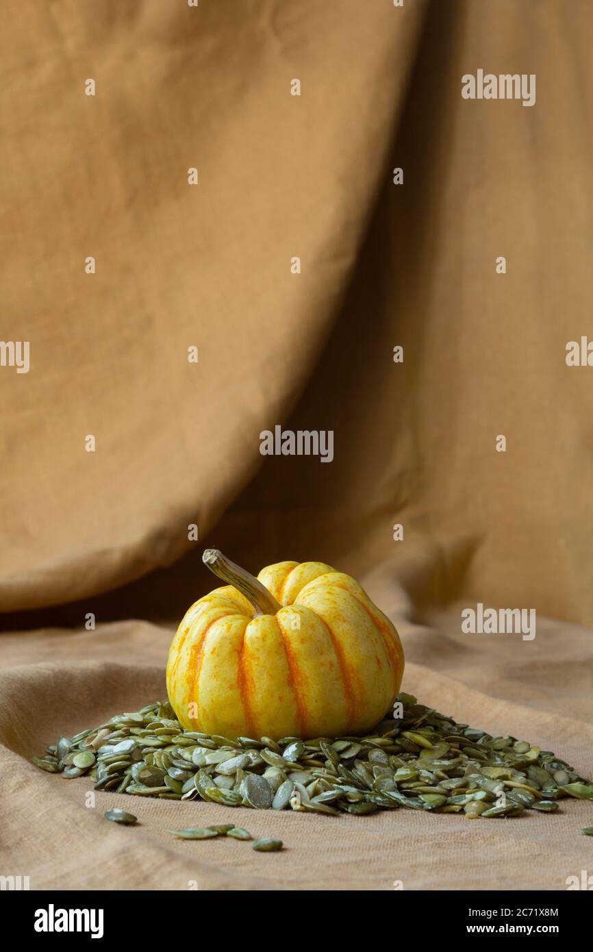 Cute small Pumpkin on Pumpkin seeds Stock Photo
