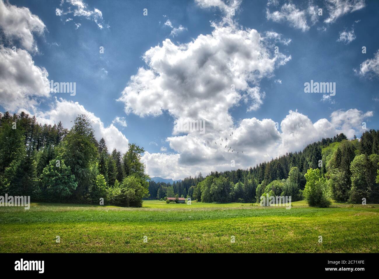 DE - BAVARIA: Alpine landscape above Bad Toelz at Wackersberg Stock Photo