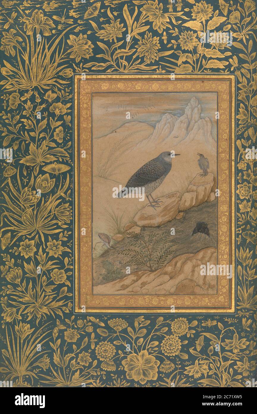 Diving Dipper and Other Birds, Folio from the Shah Jahan Album, recto: ca. 1610-15; verso: ca. 1535-45. Stock Photo