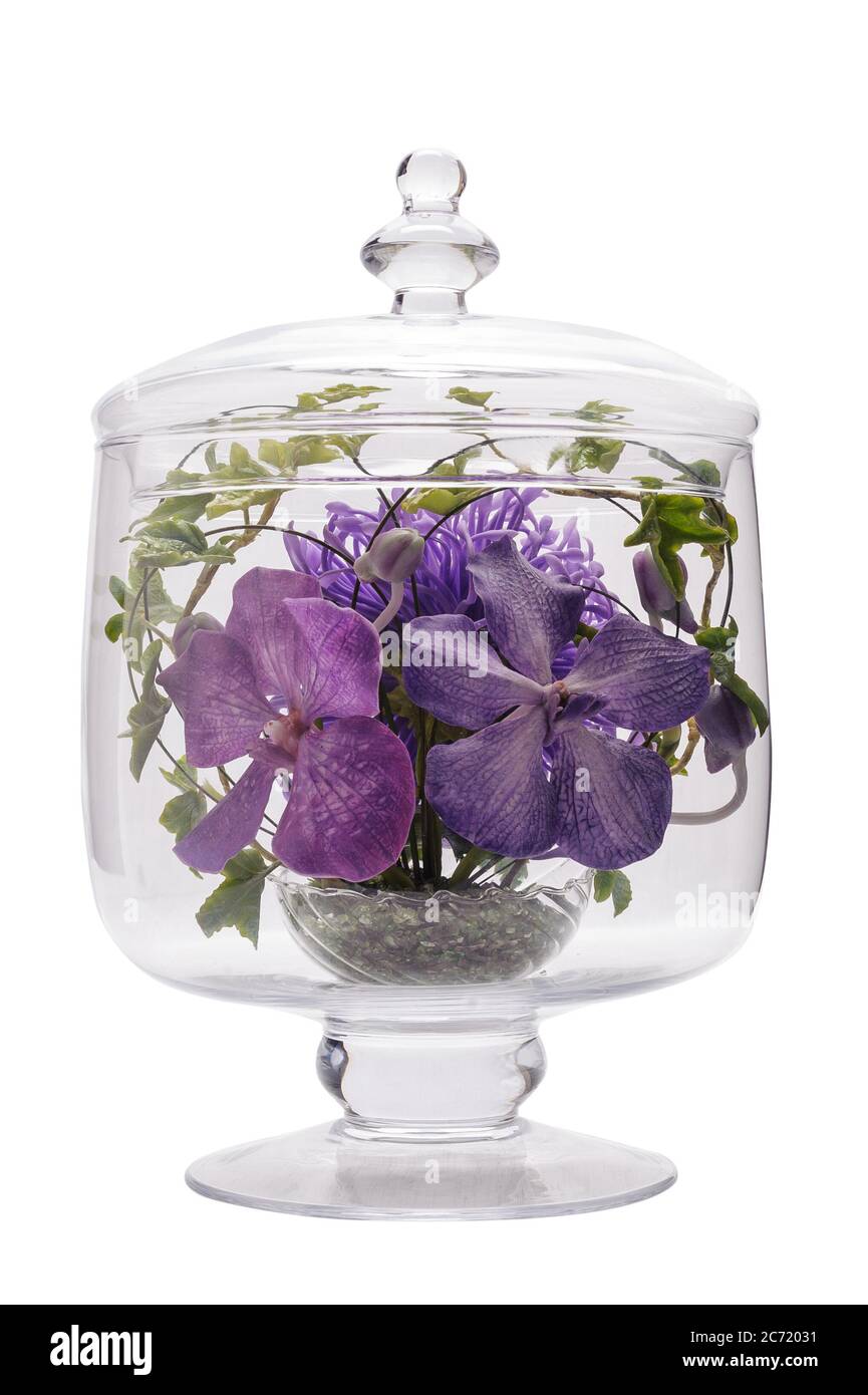 Plant bouquet hires stock photography and images Alamy