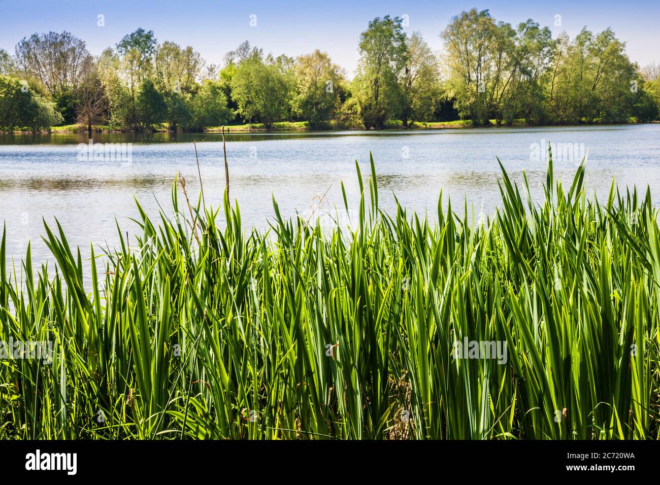 One of the lakes at Cotswold Water Park on a blustery spring day.. Stock Photo