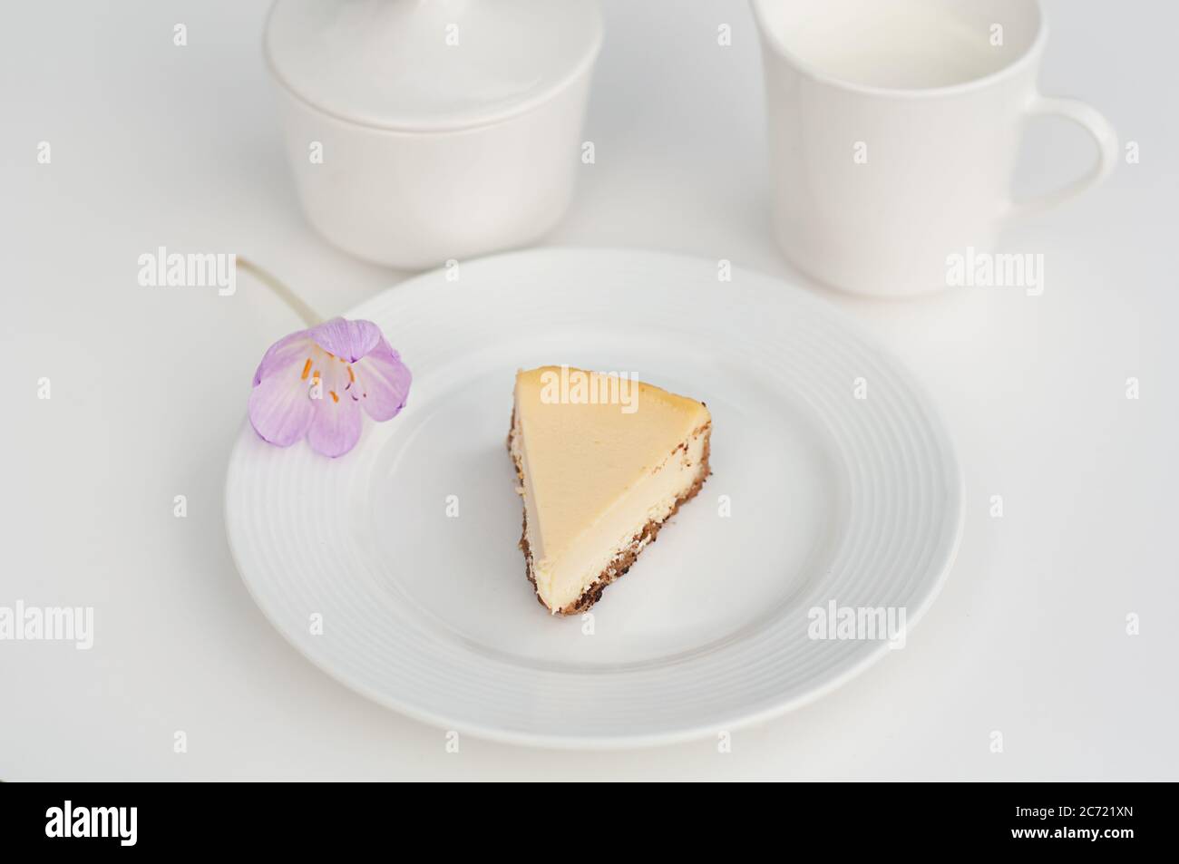 Cheesecake still life on a white plate with coffee cup and creamer on a light background.  Purple crocus flower as a garnish to this slice of bakery p Stock Photo