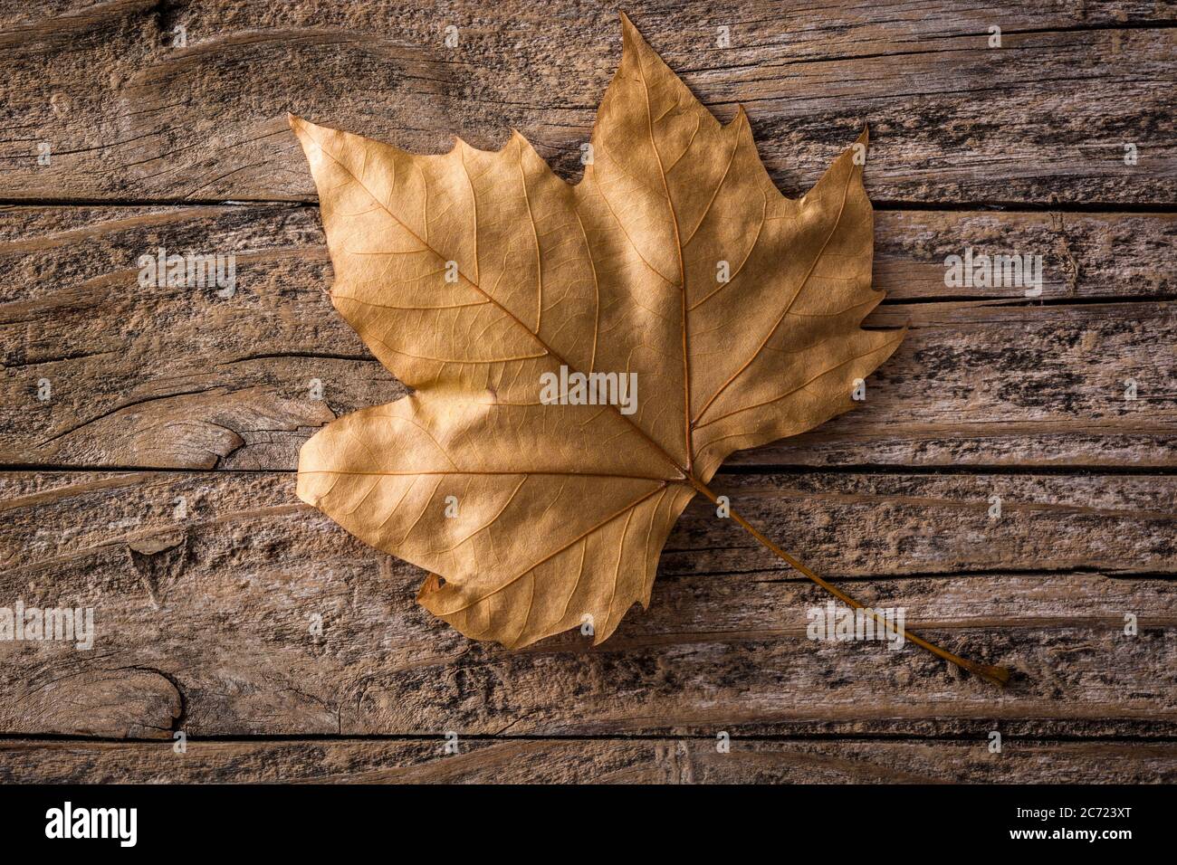 Autumn leaf on wooden background Stock Photo