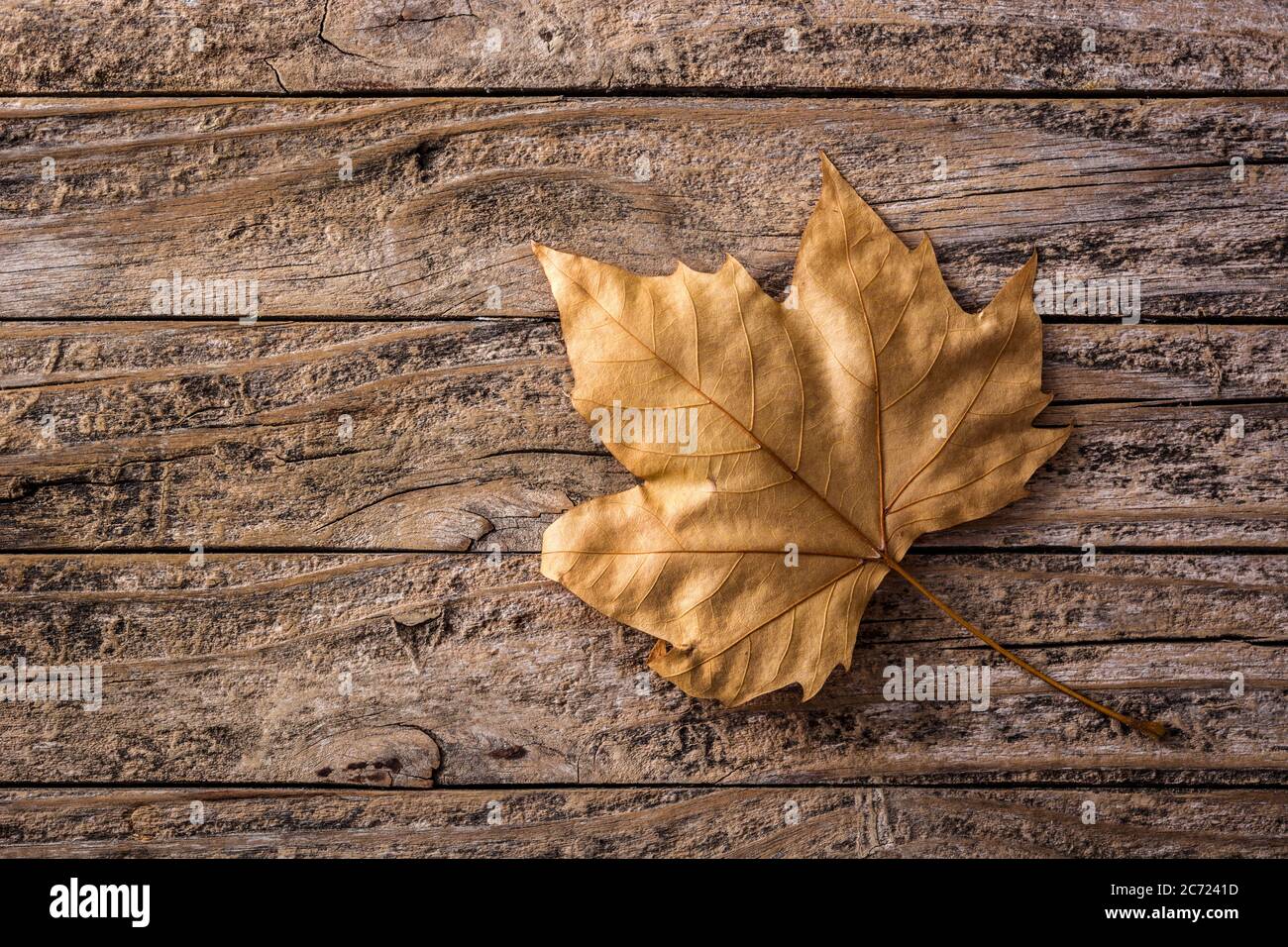 Autumn leaf on wooden background Stock Photo