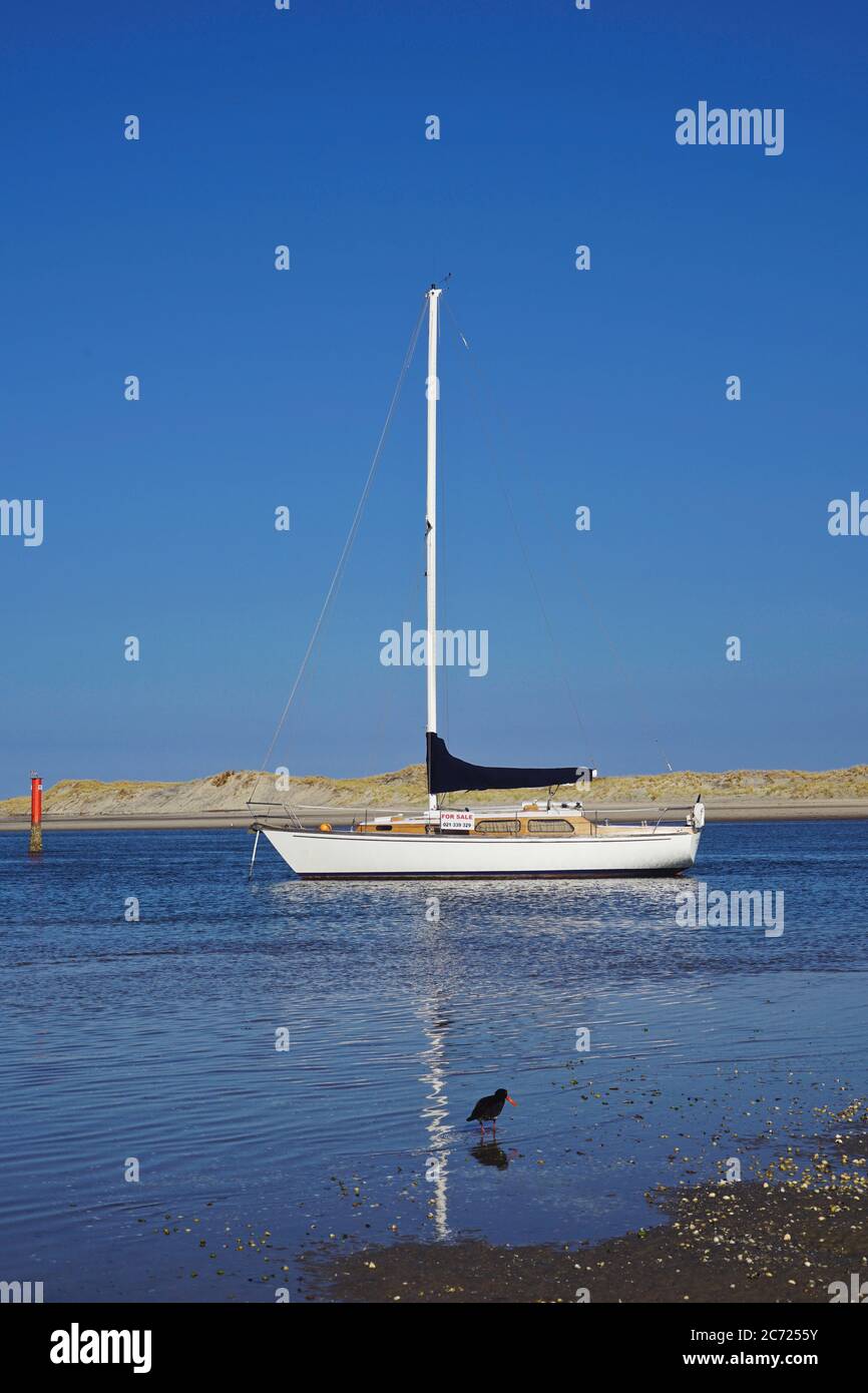 sailing yacht anchor in shallow water, sunny blue sky, oystercatcher in front, portrait Stock Photo