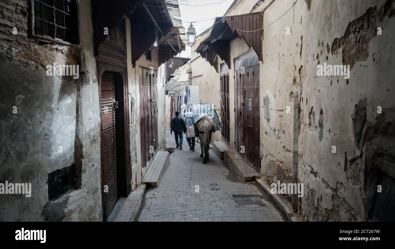 Mule Fes Morocco Medina High Resolution Stock Photography and Images - Alamy