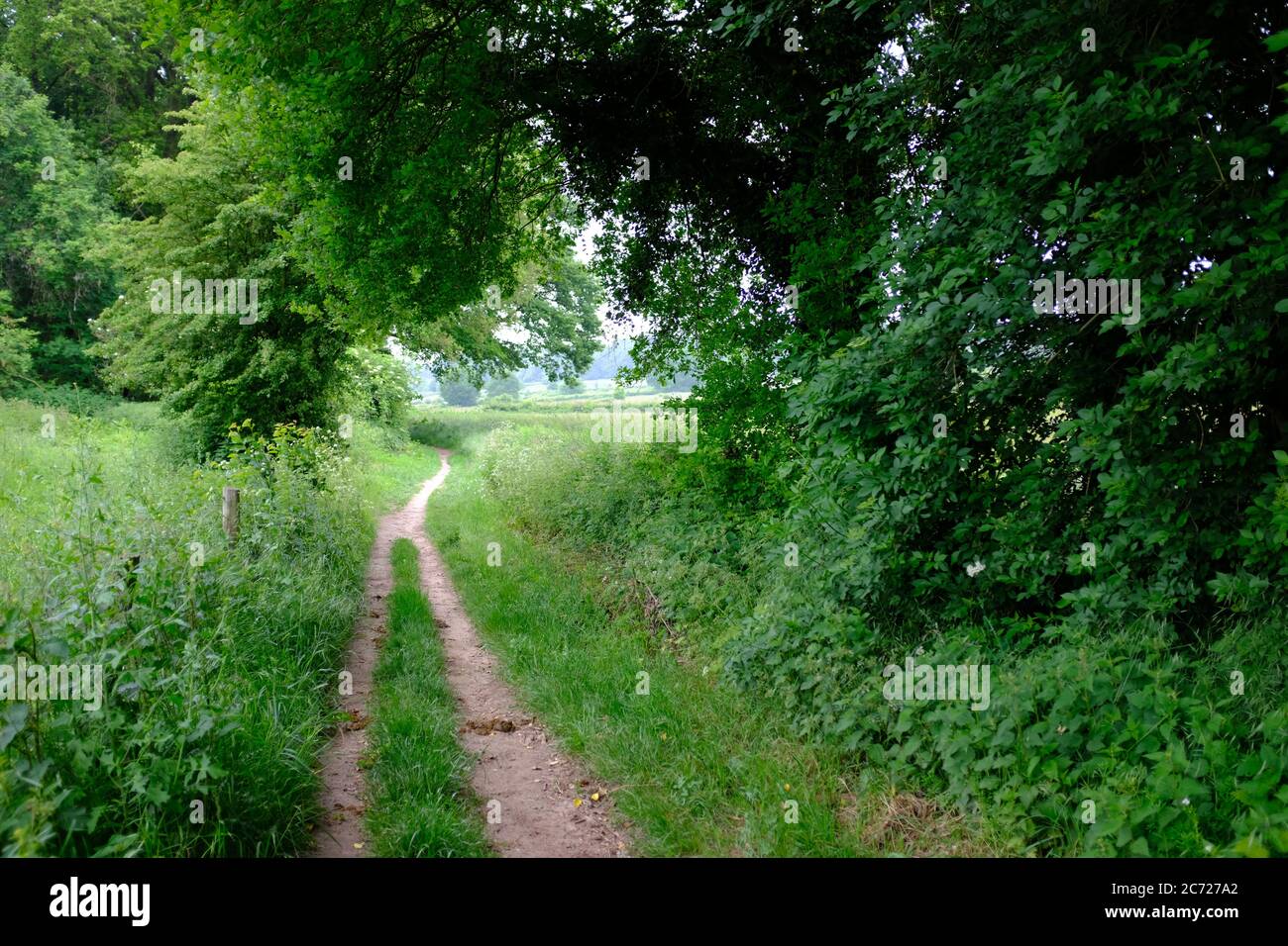 Typical Dutch landscapes on a long distance walk called the ' Pieterpad ' Stock Photo