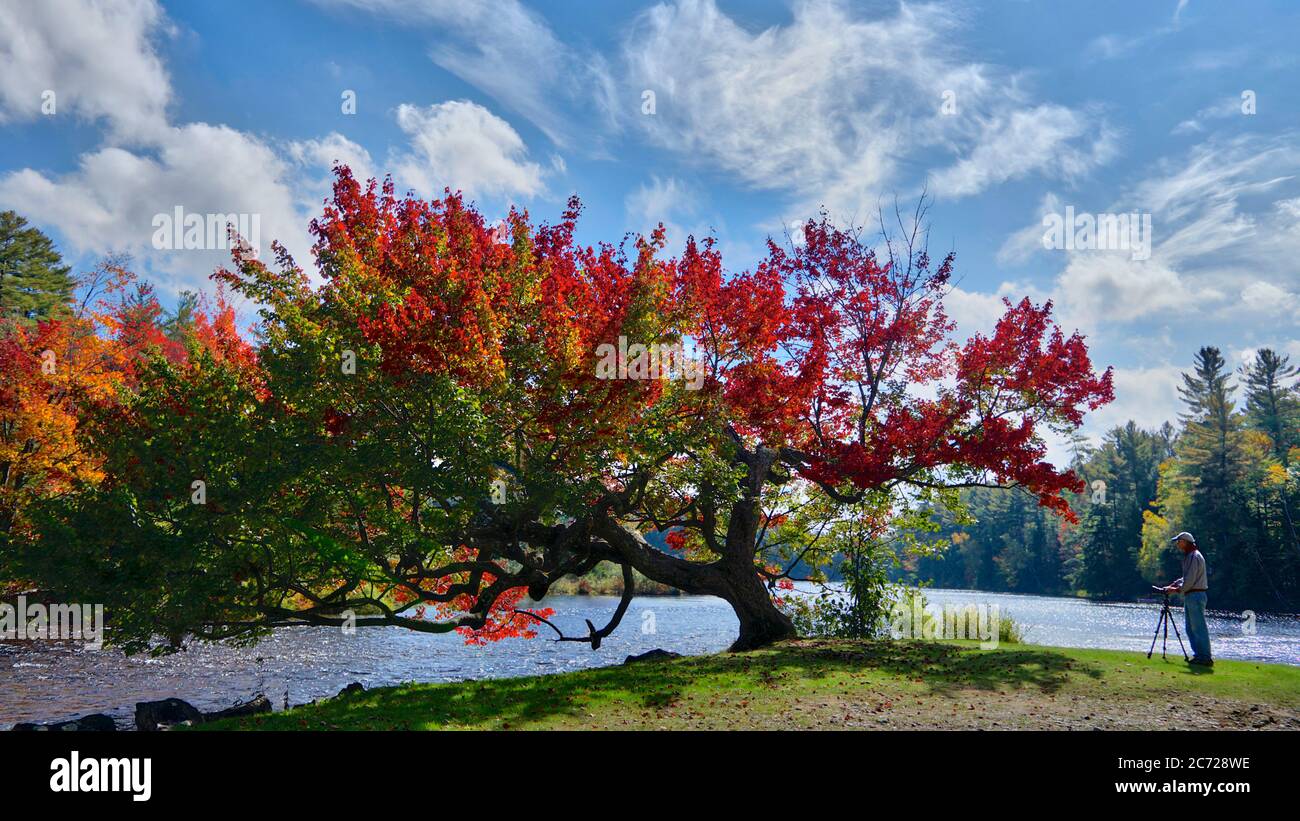 Photoshoot of the autumn leaf color in Ontario lake Stock Photo - Alamy