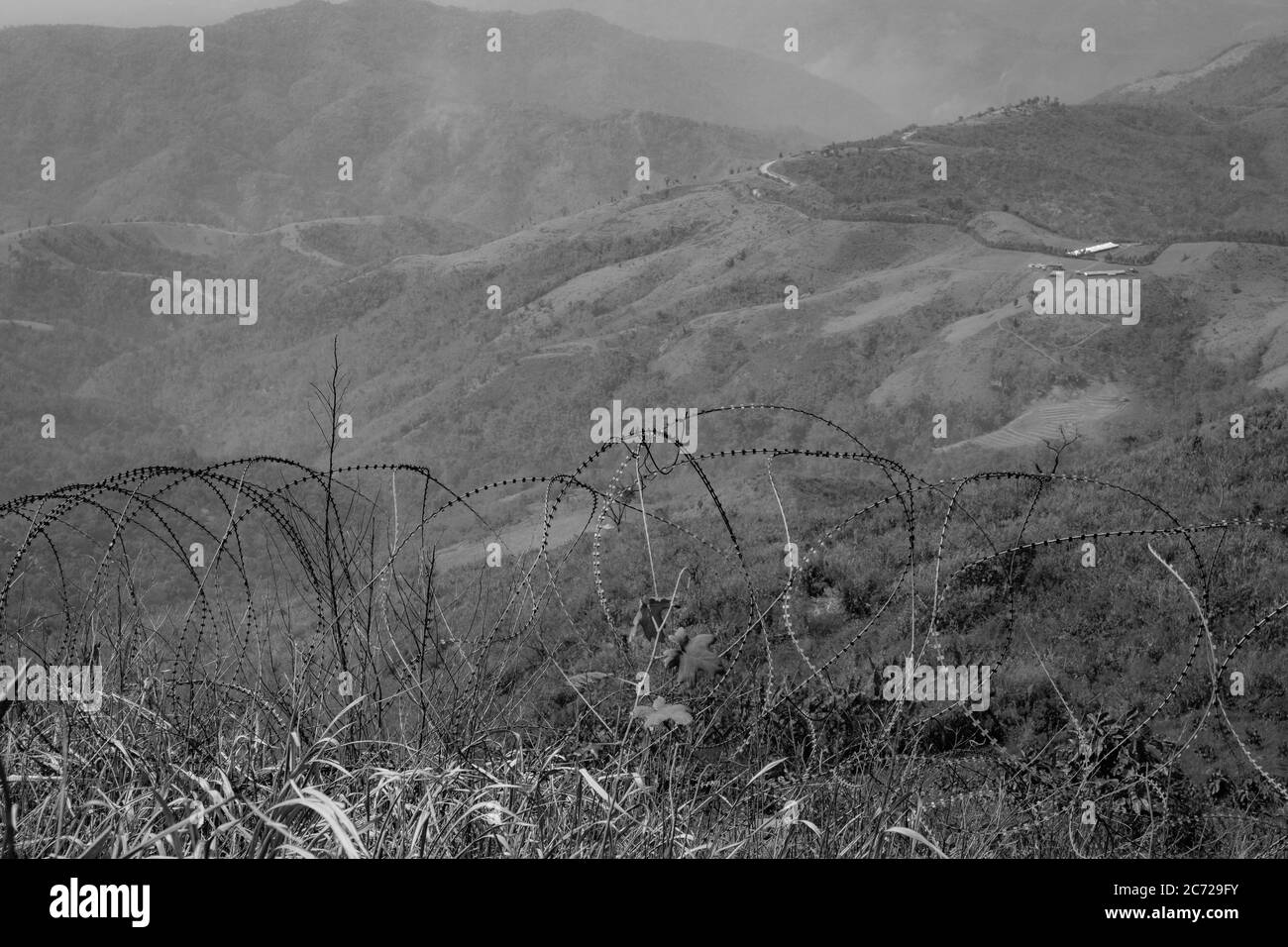 landscape Tangled barbed wire in the Vietnam War Stock Photo