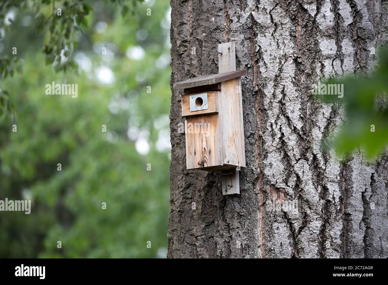 Nest box for a birds in the forest Stock Photo