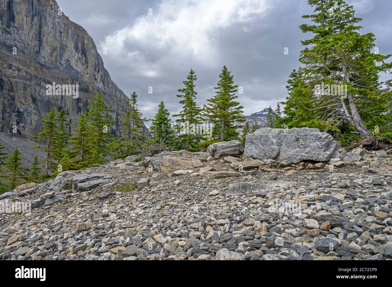 Mountain top evergreen trees and glacial till at Stanley Glacier in Kootenay National Park, British Columbia, Canada Stock Photo