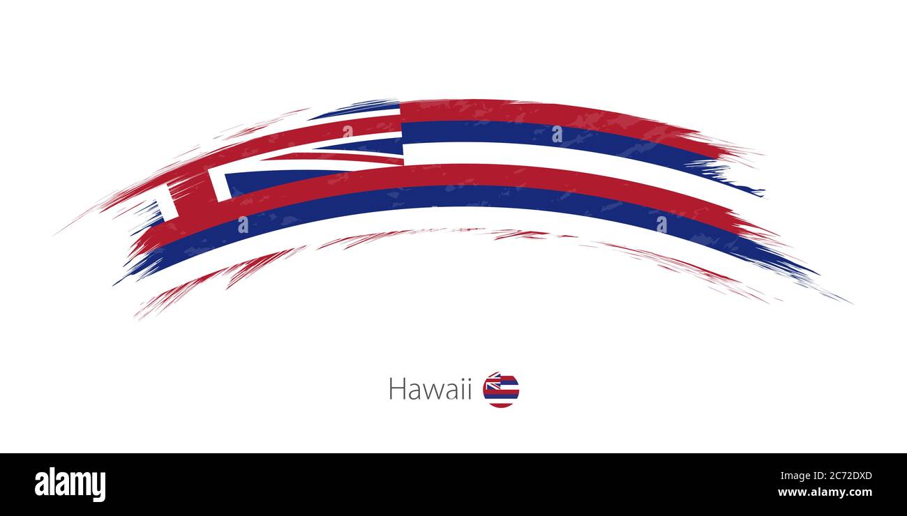 Flag of Hawaii state in rounded grunge brush stroke. Vector