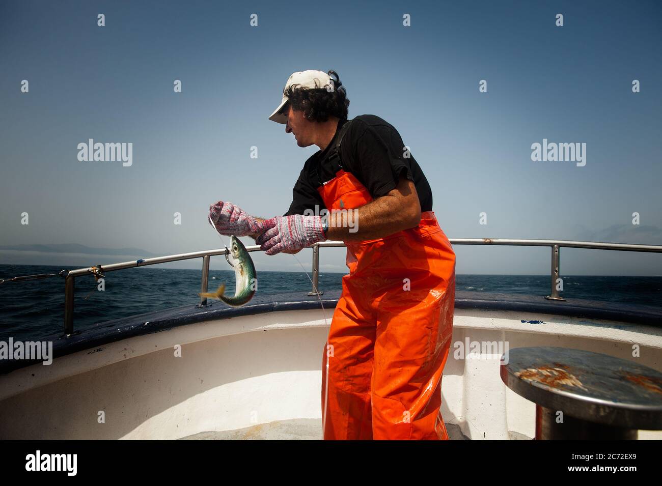 Linea de comida hi-res stock photography and images - Alamy