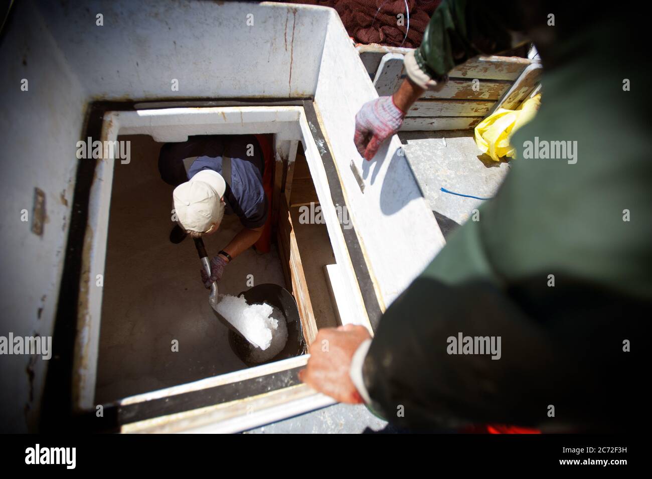 José Luís Ribella (a.k.a Cosco), fisherman of the Fernandez y Moreno fishing boat, fills a basket with ice to preserve a bluefin tuna (Thunnus thynnus) until the arrival of the boat to port. Stock Photo