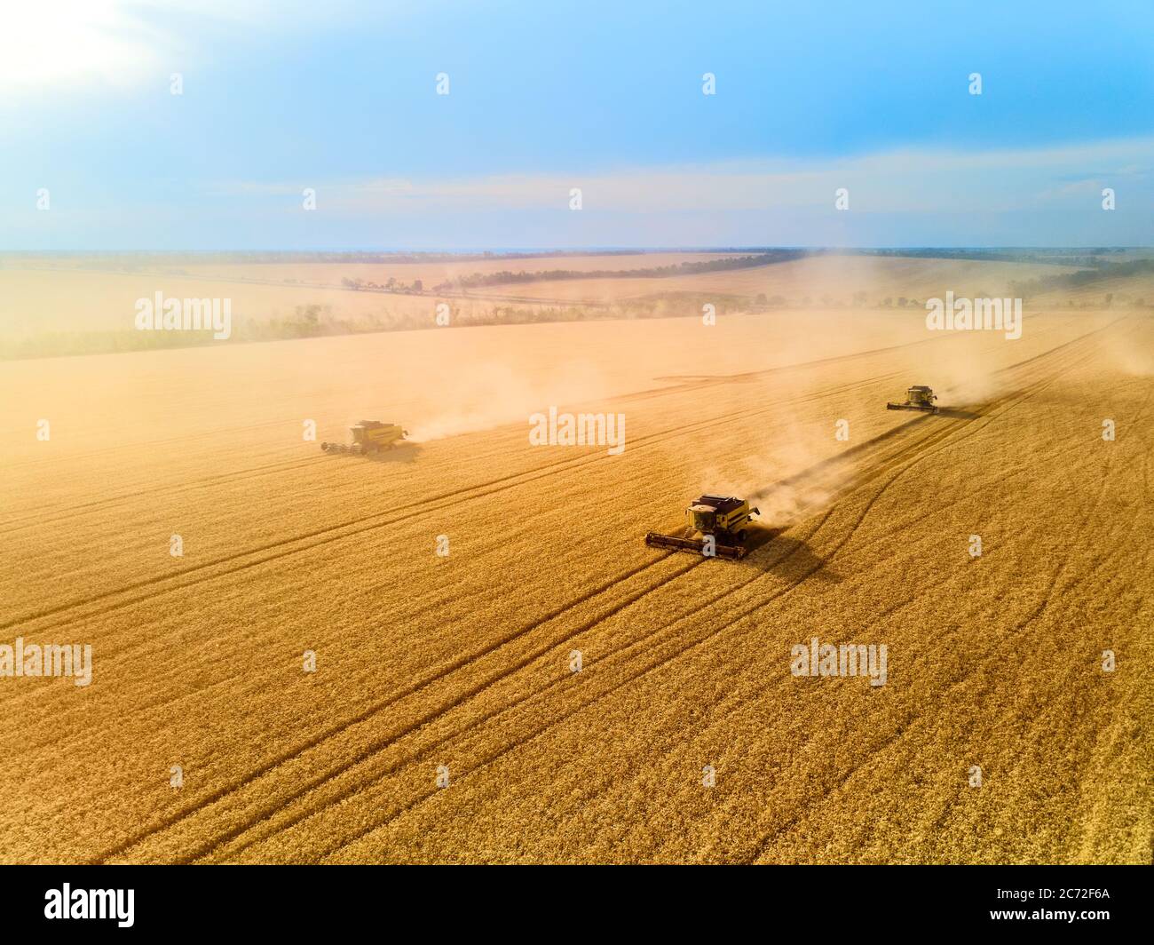 Aerial drone view: combine harvesters working in wheat field on sunset ...