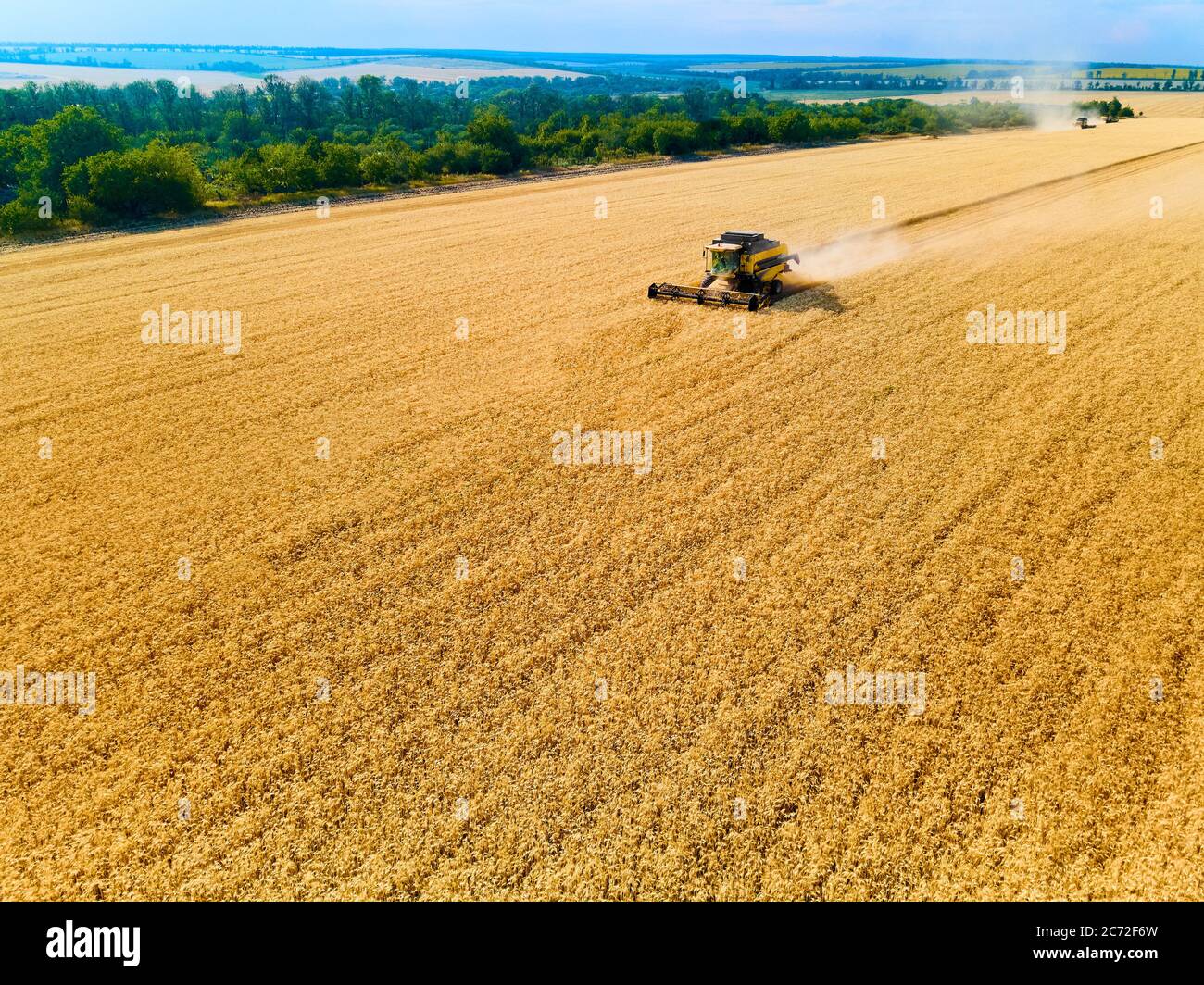 Aerial drone view: combine harvesters working in wheat field on sunset ...