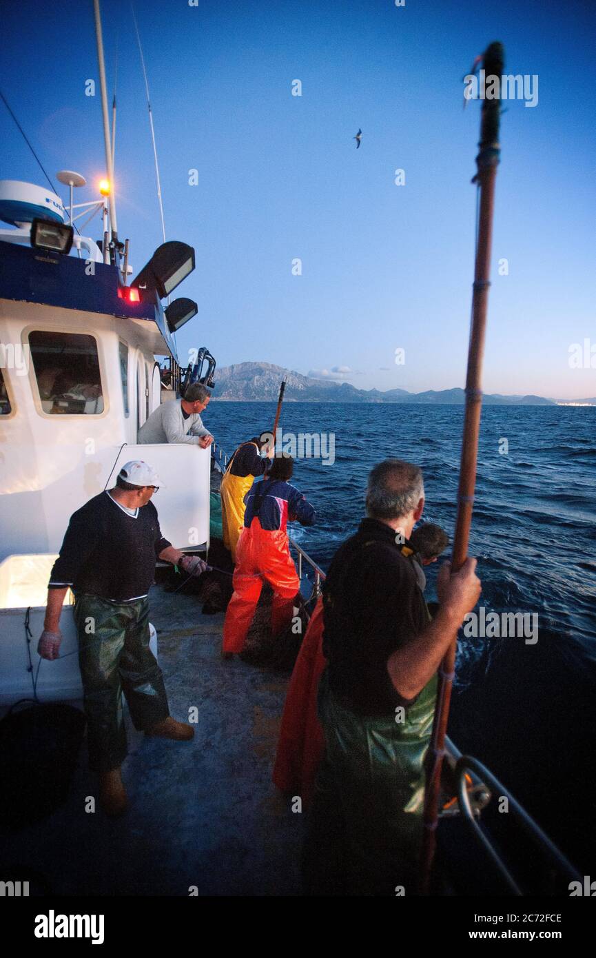 Fishermen of the Fernandez y Moreno fishing boat are prepared to assist one of their mates who has captured a bluefin tuna (Thunnus thynnus). Stock Photo