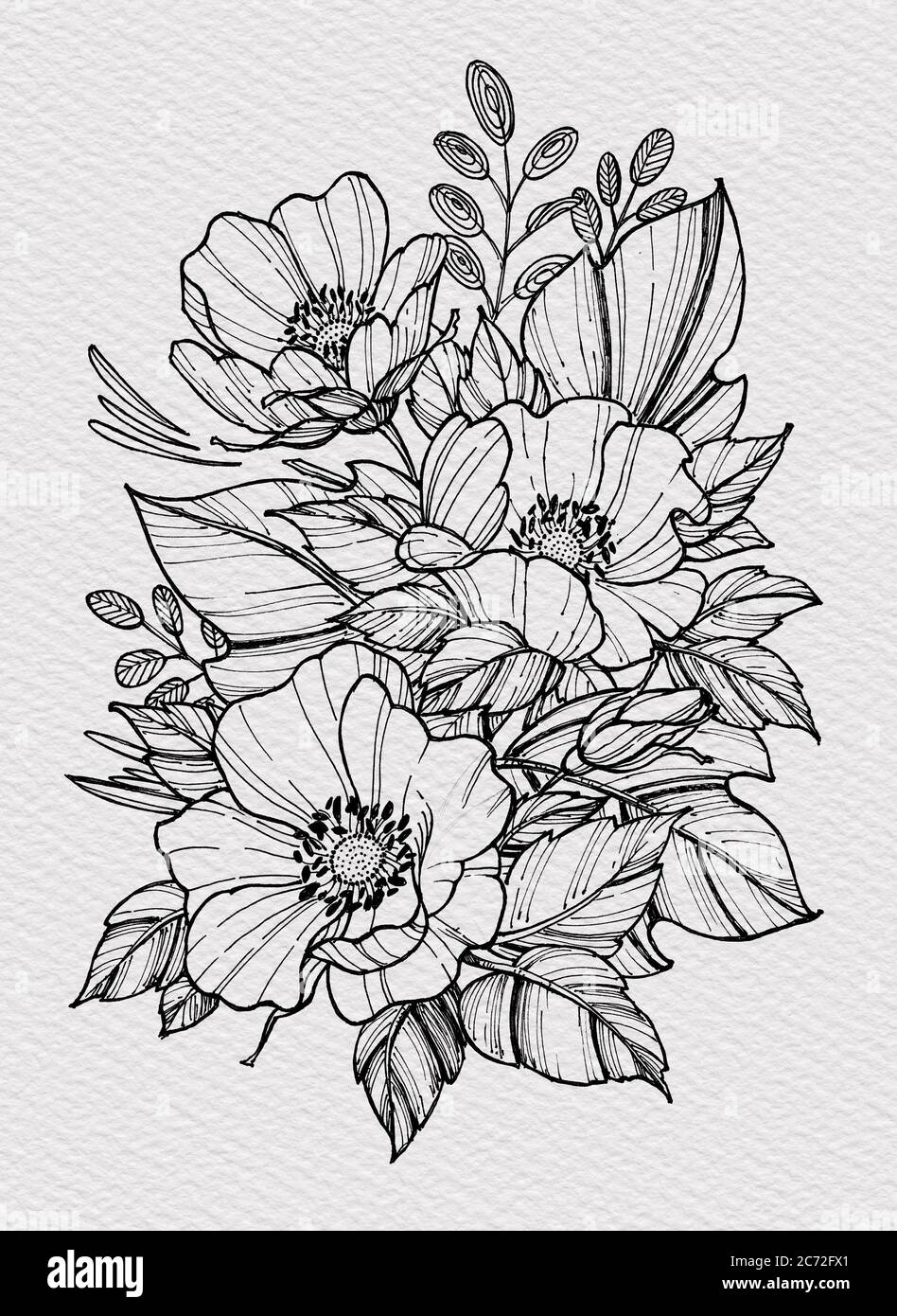 Jeff Norton Tattoos  Tattoos  Color  Poppy Flower