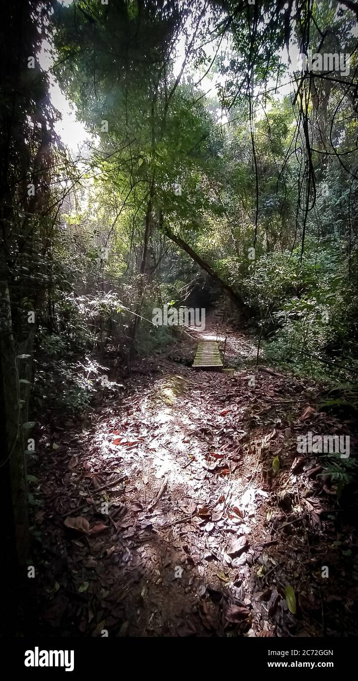 Early morning sun rays hi-res stock photography and images - Alamy