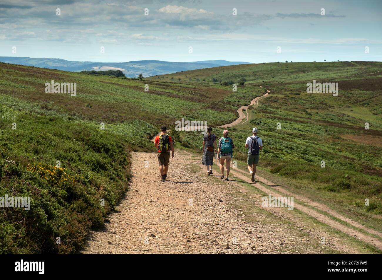 Somerset walking hires stock photography and images Alamy