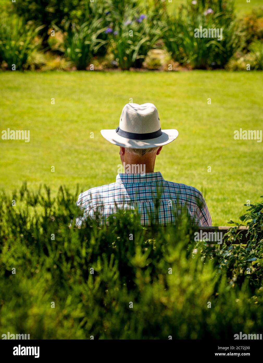 Rear view of a man wearing hat hi-res stock photography and images - Alamy