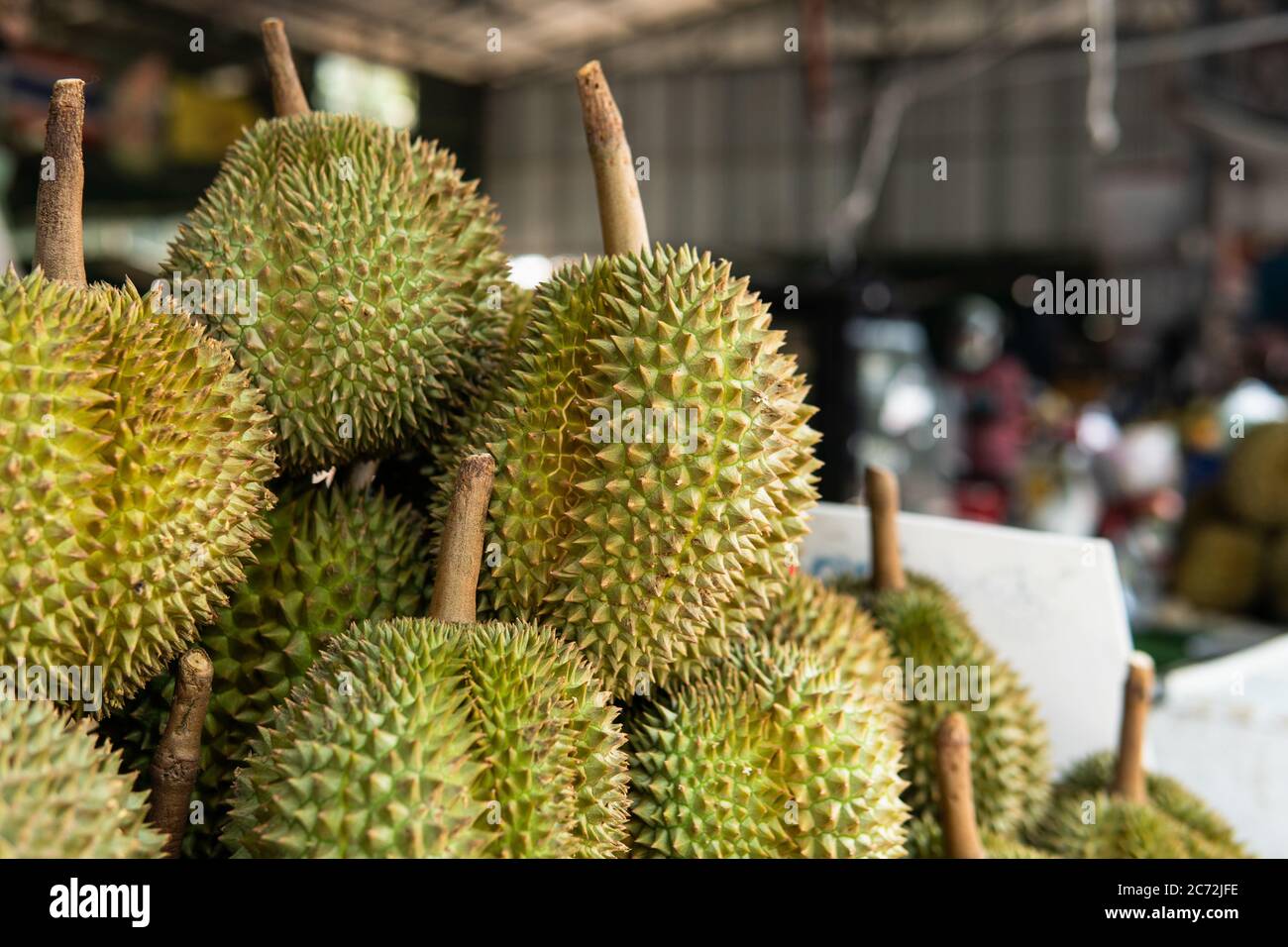 sale of durian fruits in Asian markets. The most popular and exotic