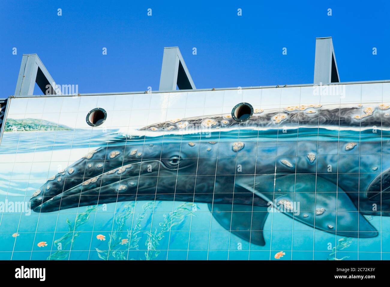 Tile mural on the Wyland Gallery,Laguna Beach,Orange County,California
