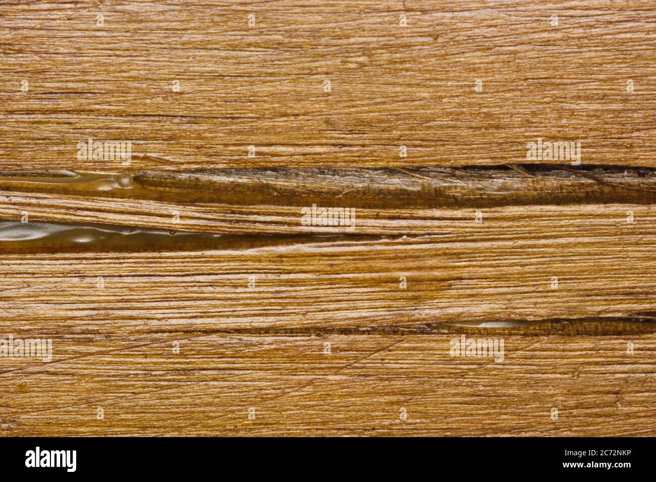 Wax Sealed Blue Gum Wood Surface Stock Photo