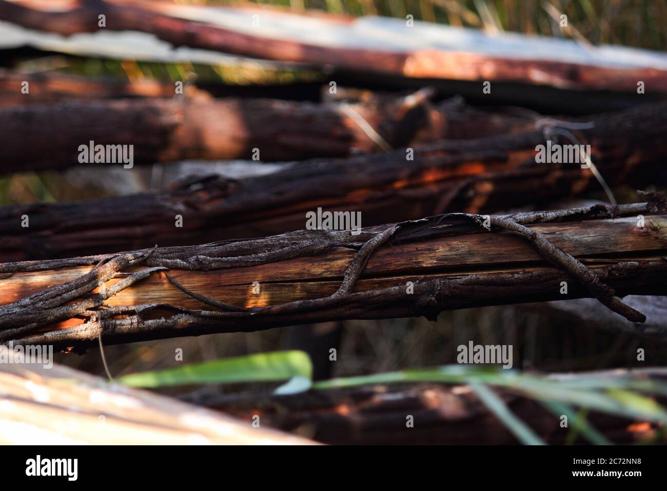 Bark Peeling From Rough Weathered Wood Pole Stock Photo