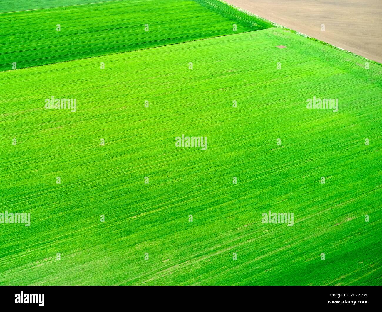 Grass land green field aerial hi-res stock photography and images - Alamy