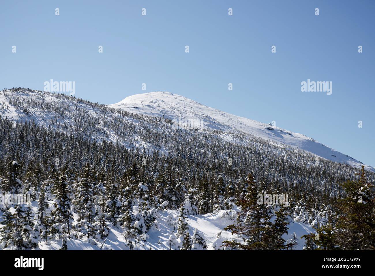 Mount Marcy Summit in Winter, Van Hoevenberg Trail, Adirondack ...