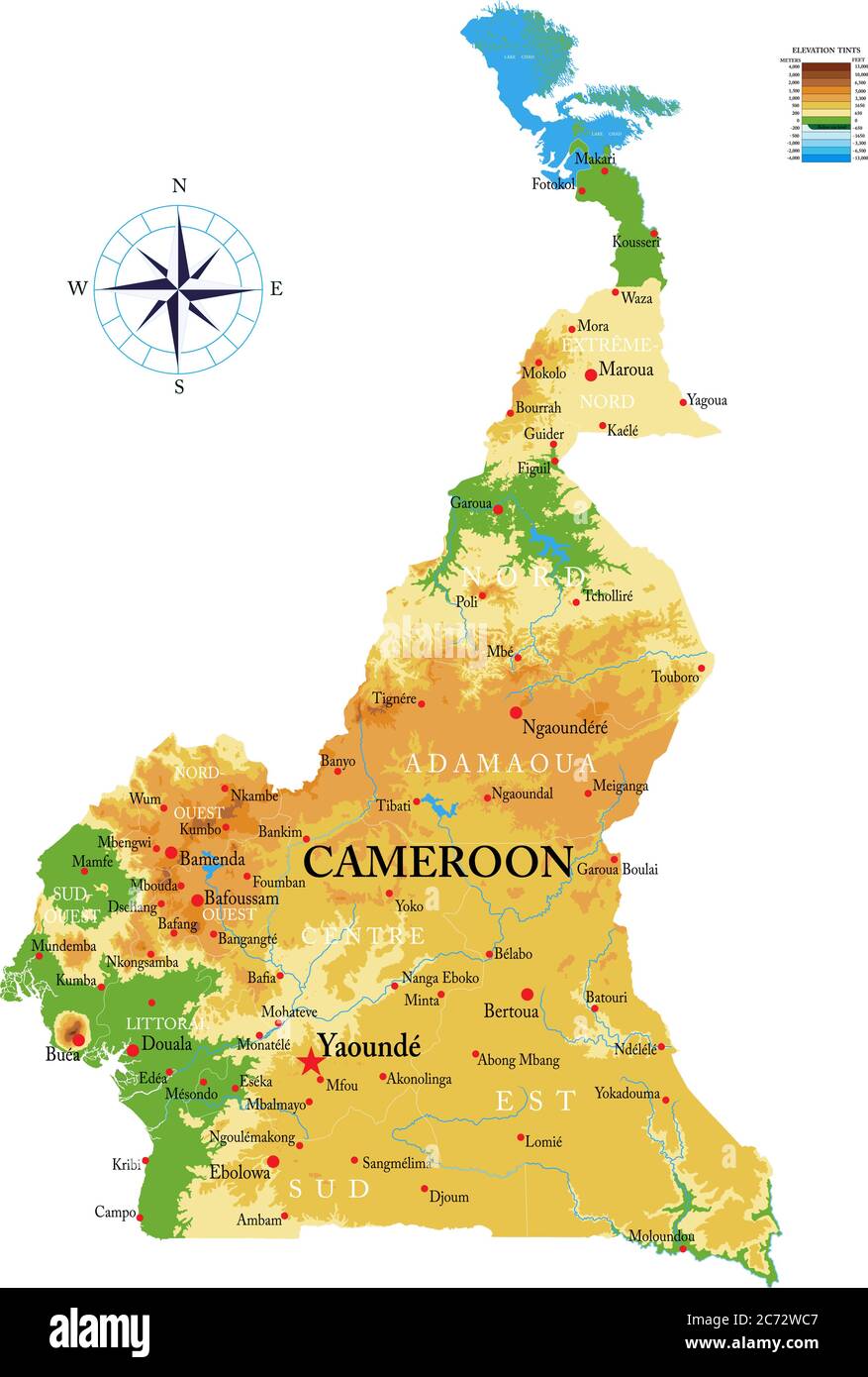 Highly detailed physical map of the Cameroon,in vector format,with all the relief forms,regions and big cities. Stock Vector