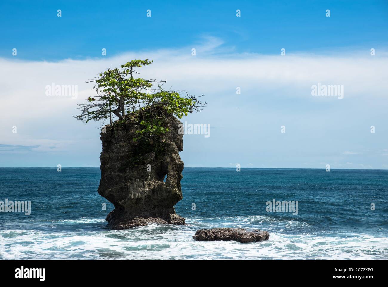 Lonely Rock, Cliff Stone formation with single tree, Costa Rica refugio Manzanillo, Caribbean sea, Latin Central America, beautiful small Island Stock Photo