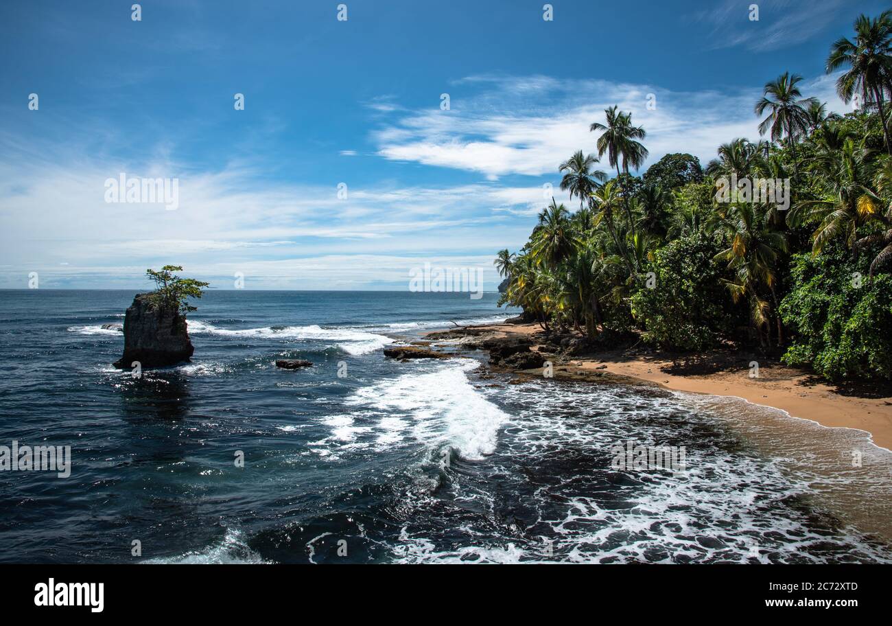 Wild caribbean beach, raw jungle Rainforest beach, Manzanillo Puerto Viejo Costa Rica, Central Latin America blue sky sea water ocean, miss may point Stock Photo