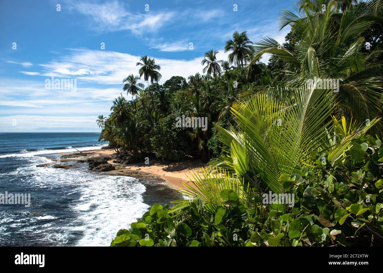 Wild caribbean beach, raw jungle Rainforest beach, Manzanillo Puerto Viejo Costa Rica, Central Latin America blue sky sea water ocean, miss may point Stock Photo