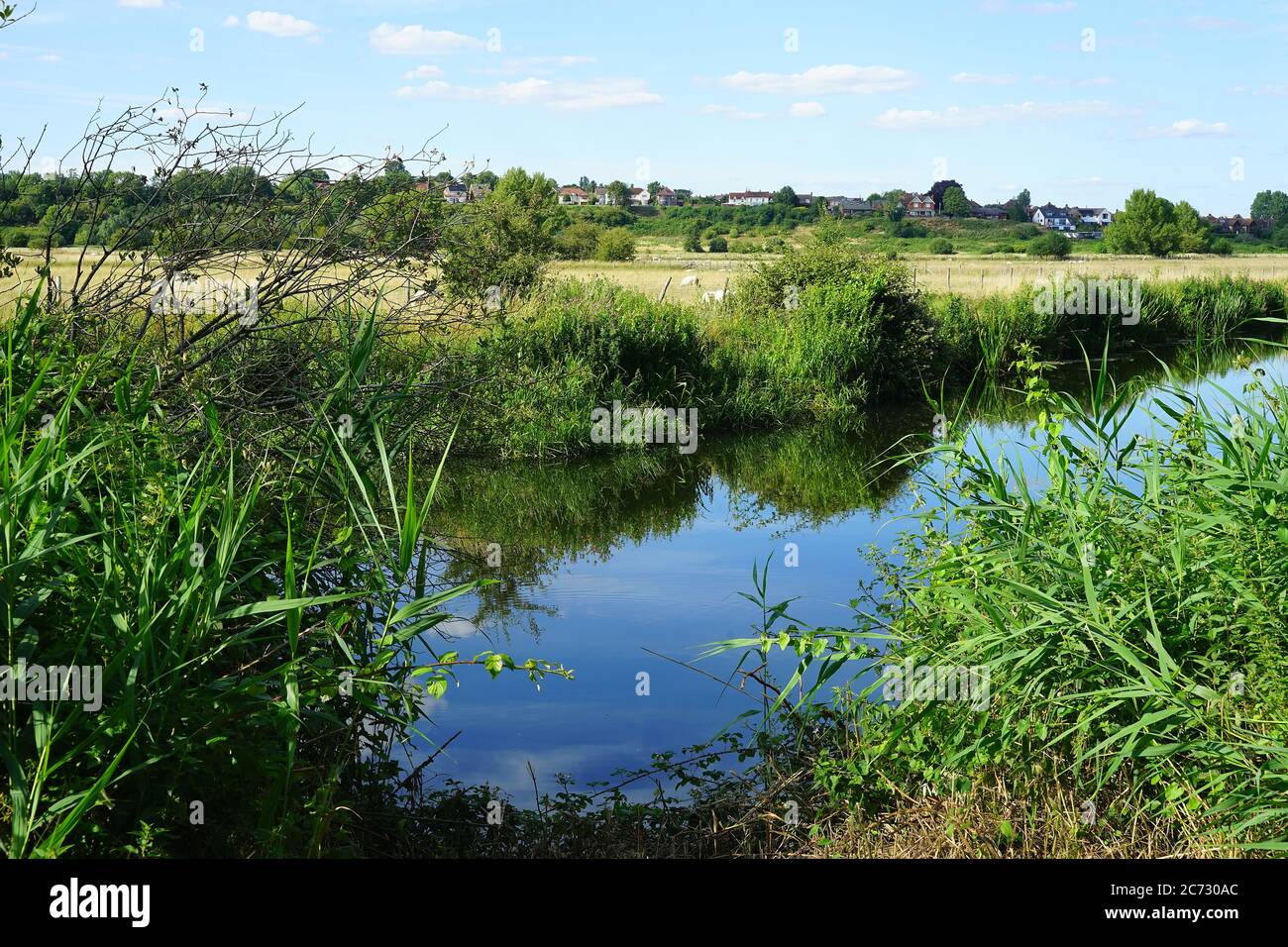 The River Great Ouse at Emberton Country Park Stock Photo Alamy