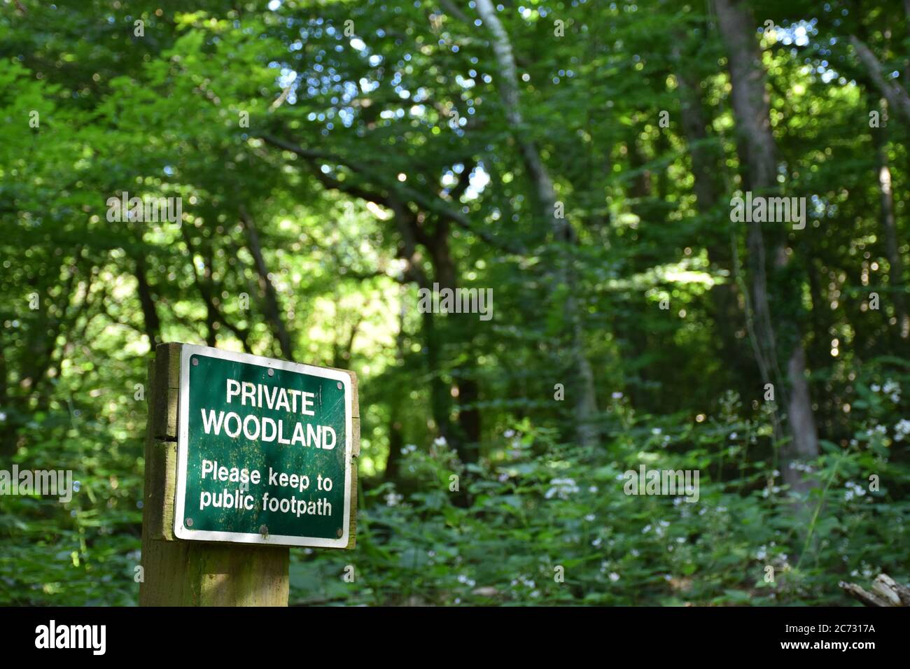 Sign saying 'Private Woodland - Please keep to public footpath' alongside a public footpath in a broadleaved woodland in Sussex, England, UK. Stock Photo