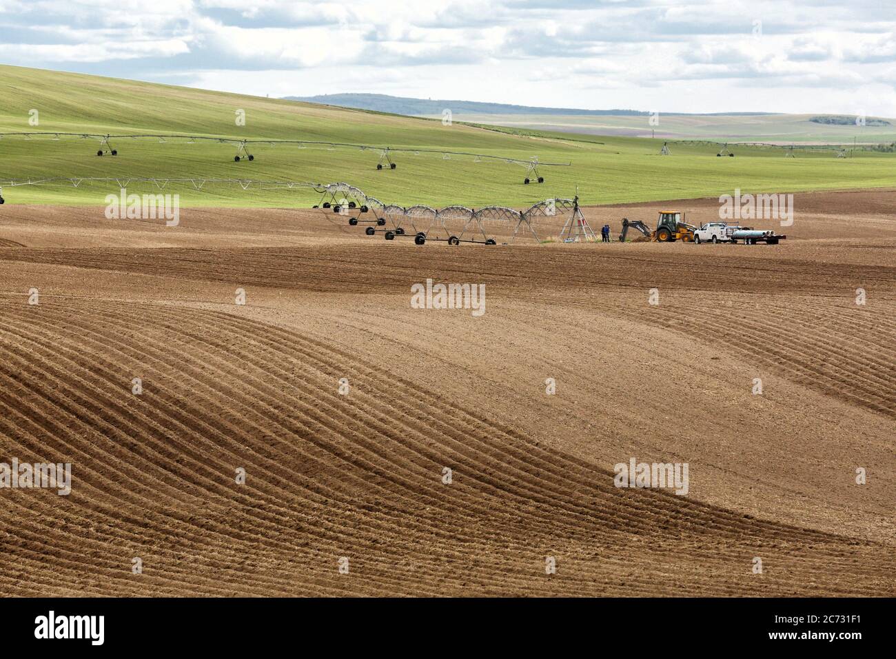 A tractor in a farm field, pulling a plowing and cultivation implement, to plow and aerates the soil in preparation for planting Idaho potatoes. Stock Photo
