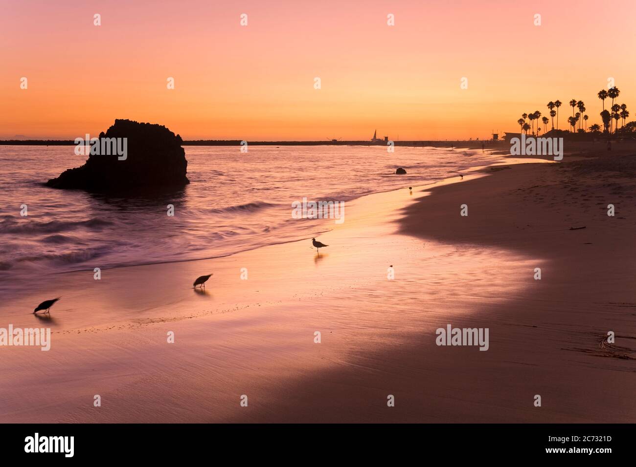Corona Del Mar Beach High Resolution Stock Photography And Images Alamy