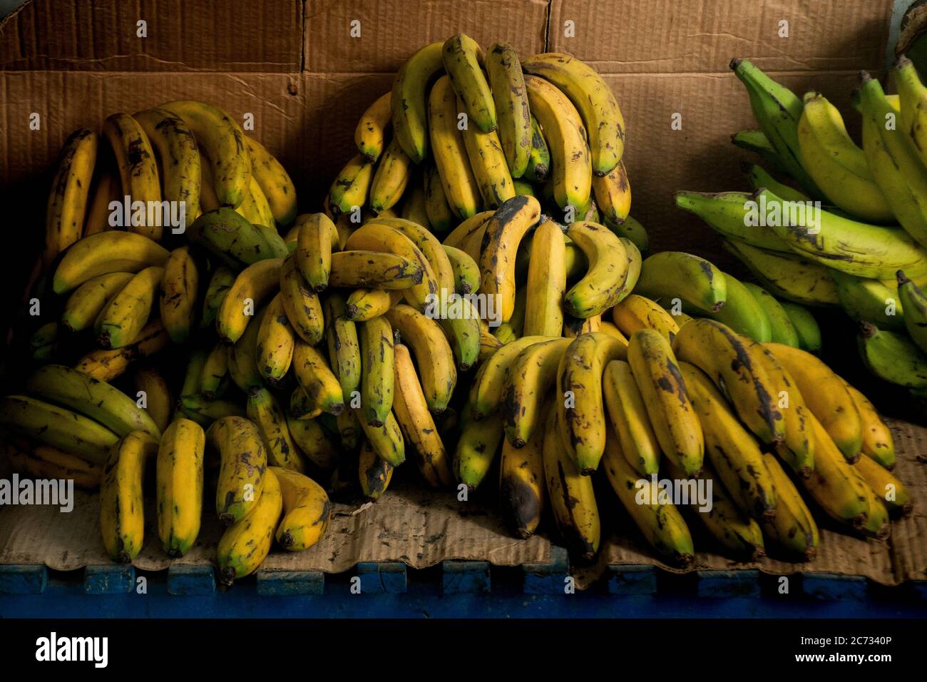 Bananas sale in a Coroico Bolivia market Stock Photo