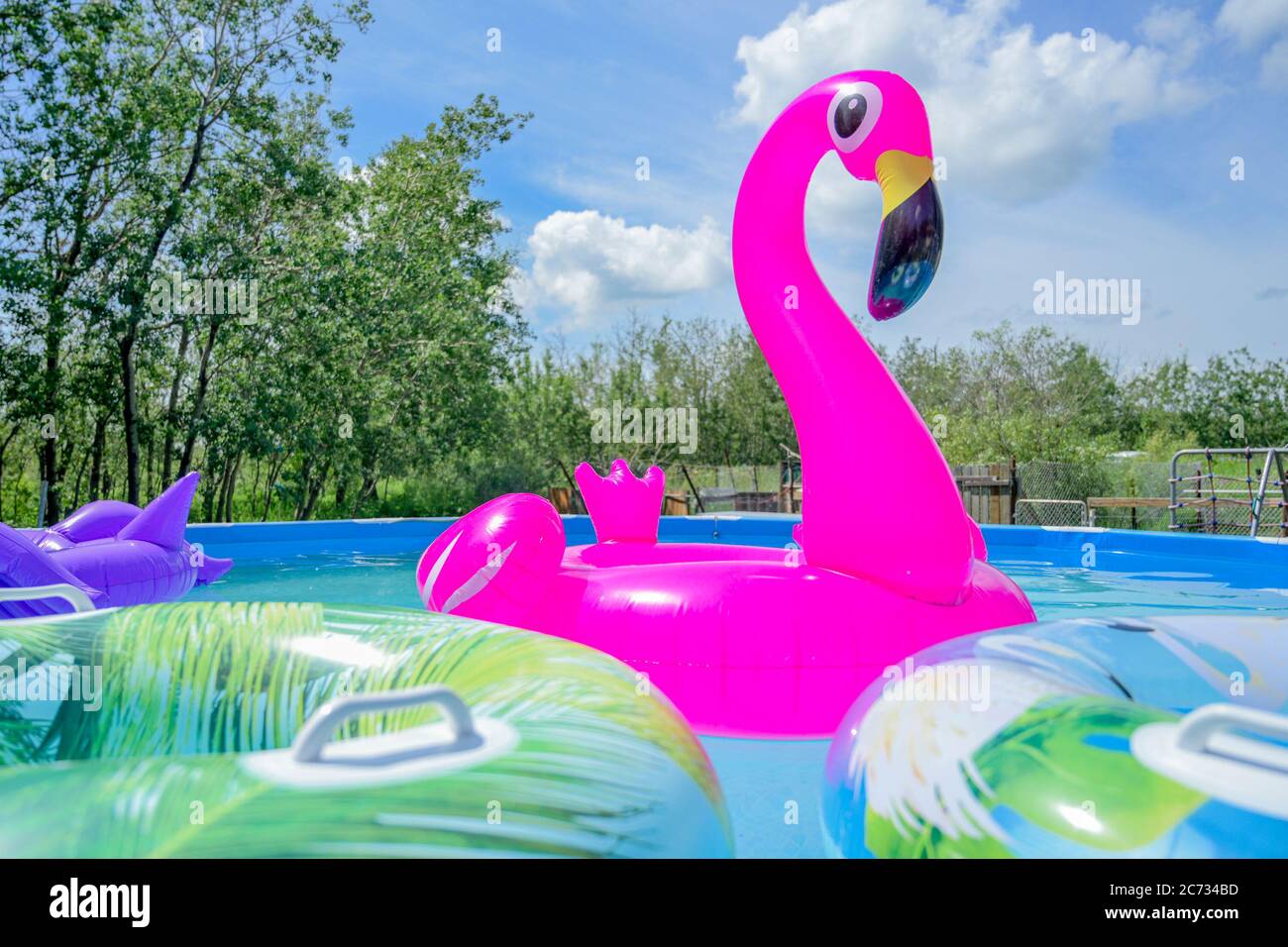 Inflatable Flamingo toy, swimming pool Stock Photo - Alamy