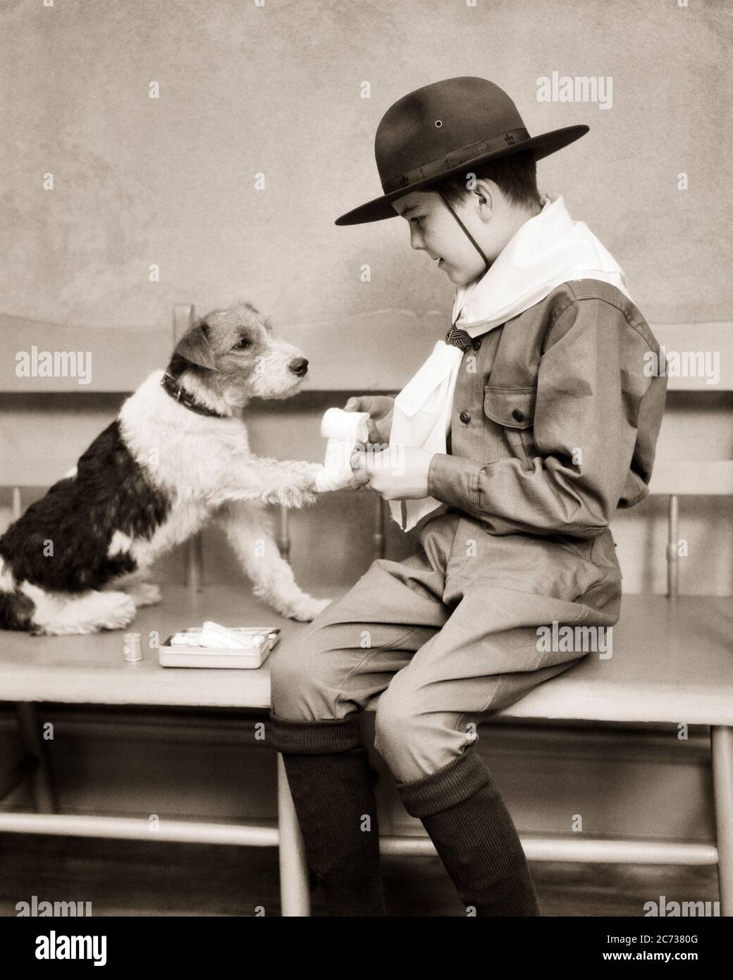 1920s A PREPARED BOY SCOUT IN UNIFORM GIVING FIRST AID TO INJURED WIRE HAIRED TERRIER DOG WRAPPING BANDAGE ON PAW - d1868 HAR001 HARS B&W TERRIER MAMMALS CHEERFUL ASSISTANCE CANINES LEADERSHIP PAW HAIRED HURT TREATMENT POOCH BOY SCOUT CONNECTION THRIFTY COURTEOUS FRIENDLY HELPFUL KIND REVERENT STYLISH TRUSTWORTHY CANINE COOPERATION GROWTH JUVENILES LOYAL MAMMAL PRE-TEEN PRE-TEEN BOY PREPARED SOLUTIONS BE PREPARED BLACK AND WHITE BRAVE CAUCASIAN ETHNICITY FIRST AID HAR001 OBEDIENT OLD FASHIONED Stock Photo