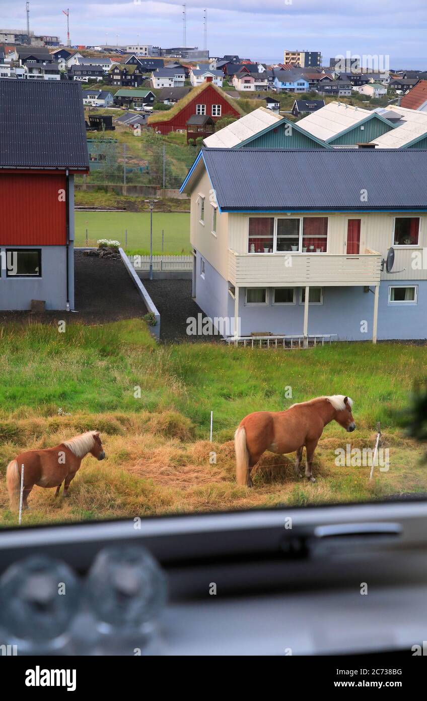 The view from window of horses in a backyard in a residential neighborhood.Torshavn. Streymoy.Faroe Islands.Territory of Denmark Stock Photo