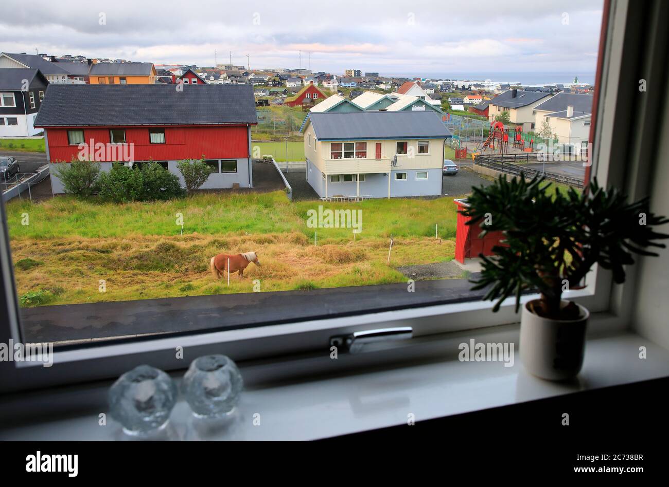 The view from of a horse in a backyard in a residential neighborhood.Torshavn. Streymoy.Faroe Islands.Territory of Denmark Stock Photo