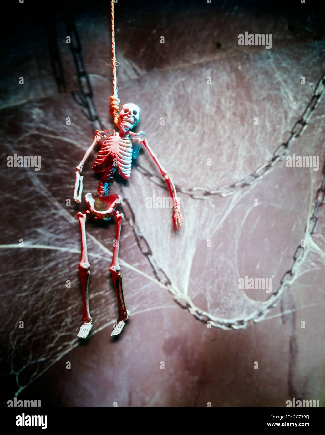 1970s BIZARRE FRIGHTENING SCARY HALLOWEEN HORROR SYMBOLIC STILL LIFE HANGED HUMAN SKELETON ENMESHED BY COBWEBS AND IRON CHAINS - ks8965 PHT001 HARS DISCOVERY DEATH HANGED AND GROTESQUE FRIGHTENING LOW ANGLE POWERFUL ZANY COMICAL CHAINS UNCONVENTIONAL BY POLITICS CONCEPT CONCEPTUAL STILL LIFE COMEDY ESCAPE IMAGINATION WACKY IDIOSYNCRATIC OCTOBER SYMBOLIC AMUSING CONCEPTS ECCENTRIC IDEAS OCTOBER 31 ERRATIC OLD FASHIONED OUTRAGEOUS REPRESENTATION Stock Photo